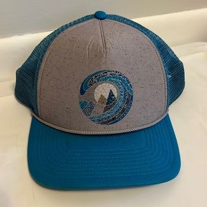 Patagonia trucker hat